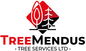 TreeMendus Tree Services